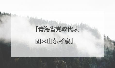 青海省党政代表团来山东考察