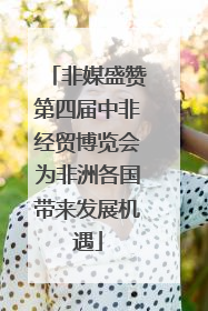 非媒盛赞第四届中非经贸博览会为非洲各国带来发展机遇