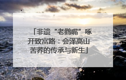 非遗“老鹳嘴”啄开致富路：会泽高山苦荞的传承与新生