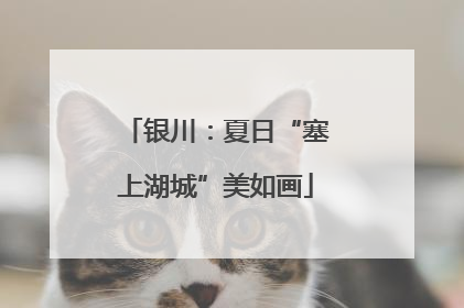 银川：夏日“塞上湖城”美如画