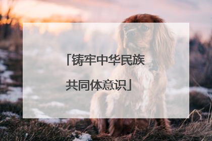 铸牢中华民族共同体意识