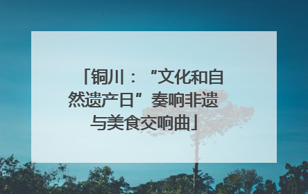 铜川：“文化和自然遗产日”奏响非遗与美食交响曲