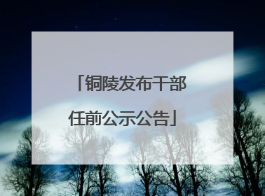 铜陵发布干部任前公示公告