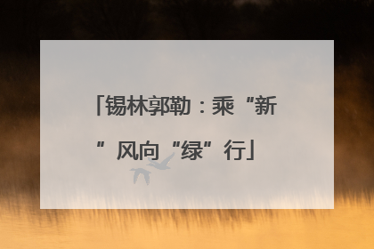 锡林郭勒：乘“新”风向“绿”行