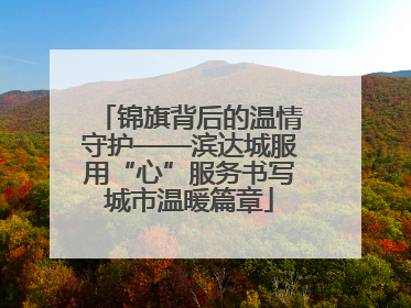 锦旗背后的温情守护——滨达城服用“心”服务书写城市温暖篇章