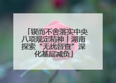 锲而不舍落实中央八项规定精神丨湖南探索“无扰督查”深化基层减负