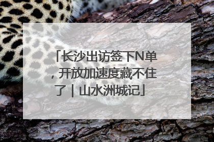 长沙出访签下N单，开放加速度藏不住了｜山水洲城记