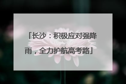 长沙：积极应对强降雨，全力护航高考路