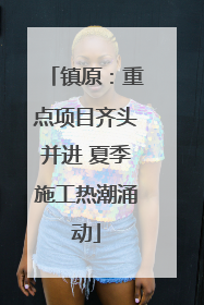 镇原：重点项目齐头并进 夏季施工热潮涌动