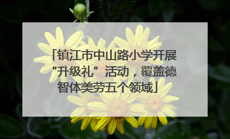 镇江市中山路小学开展“升级礼”活动，覆盖德智体美劳五个领域