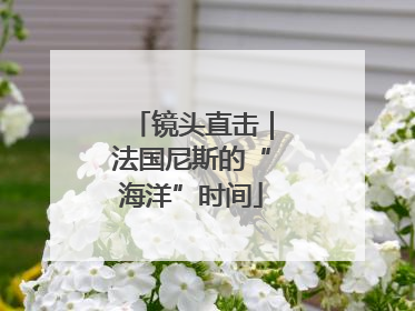 镜头直击｜法国尼斯的“海洋”时间