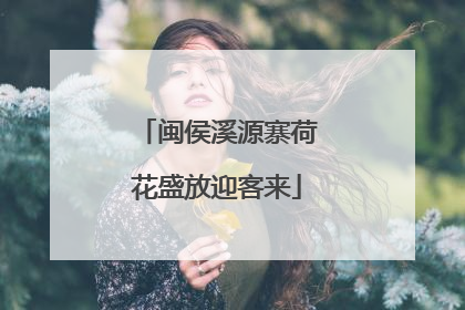 闽侯溪源寨荷花盛放迎客来