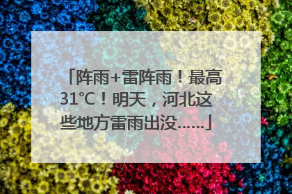 阵雨+雷阵雨！最高31℃！明天，河北这些地方雷雨出没……