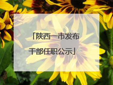 陕西一市发布干部任职公示