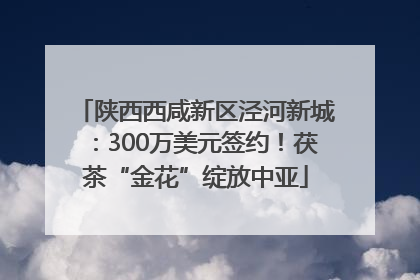 陕西西咸新区泾河新城：300万美元签约！茯茶“金花”绽放中亚
