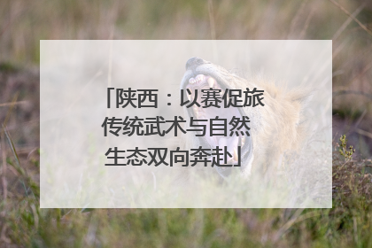 陕西：以赛促旅 传统武术与自然生态双向奔赴