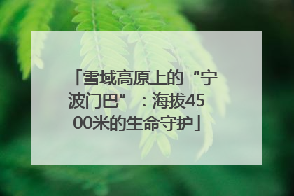雪域高原上的“宁波门巴”：海拔4500米的生命守护