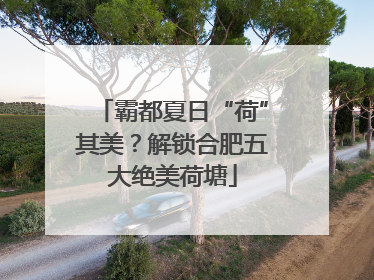 霸都夏日“荷”其美？解锁合肥五大绝美荷塘