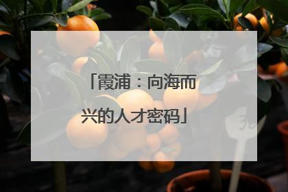 霞浦：向海而兴的人才密码