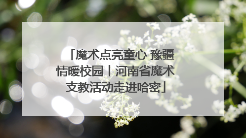 魔术点亮童心 豫疆情暖校园丨河南省魔术支教活动走进哈密