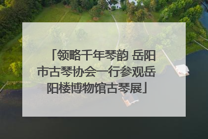 领略千年琴韵 岳阳市古琴协会一行参观岳阳楼博物馆古琴展