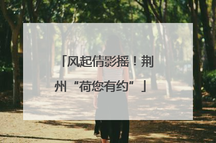 风起倩影摇！荆州“荷您有约”