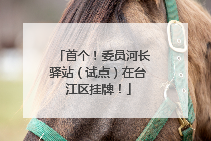 首个！委员河长驿站（试点）在台江区挂牌！