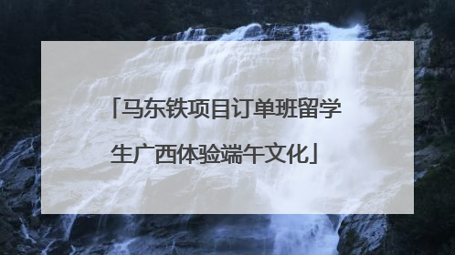 马东铁项目订单班留学生广西体验端午文化