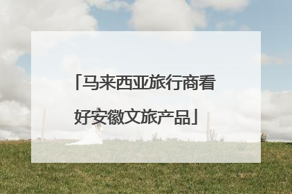 马来西亚旅行商看好安徽文旅产品