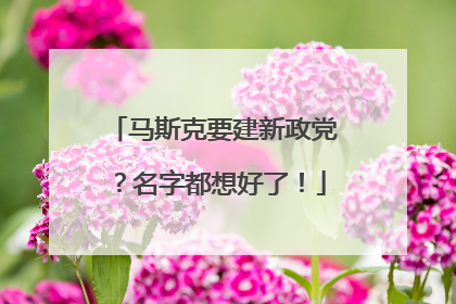 马斯克要建新政党？名字都想好了！