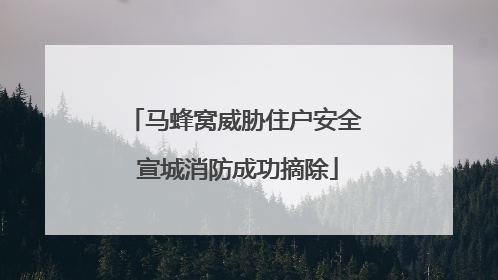 马蜂窝威胁住户安全 宣城消防成功摘除