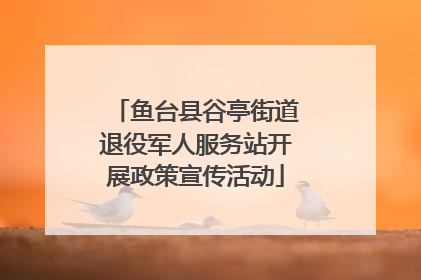 鱼台县谷亭街道退役军人服务站开展政策宣传活动