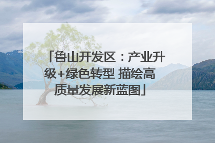 鲁山开发区：产业升级+绿色转型 描绘高质量发展新蓝图