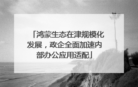 鸿蒙生态在津规模化发展，政企全面加速内部办公应用适配