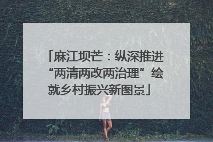 麻江坝芒：纵深推进“两清两改两治理”绘就乡村振兴新图景