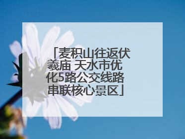 麦积山往返伏羲庙 天水市优化5路公交线路串联核心景区