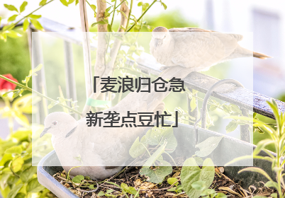麦浪归仓急 新垄点豆忙
