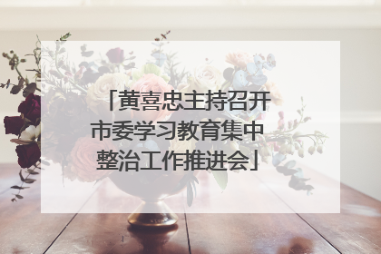 黄喜忠主持召开市委学习教育集中整治工作推进会