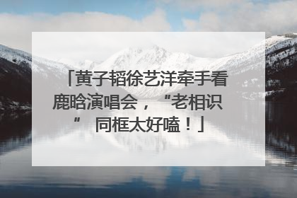 黄子韬徐艺洋牵手看鹿晗演唱会，“老相识” 同框太好嗑！