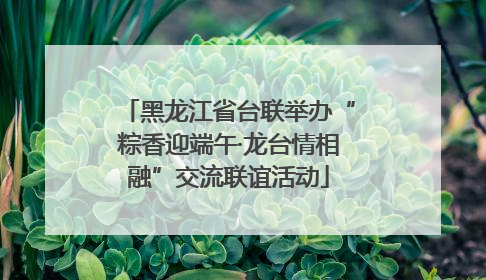 黑龙江省台联举办“粽香迎端午·龙台情相融”交流联谊活动