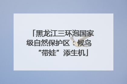 黑龙江三环泡国家级自然保护区：候鸟“带娃”添生机