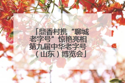 鼎香村携“聊城老字号”惊艳亮相第九届中华老字号（山东）博览会