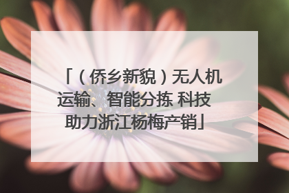 （侨乡新貌）无人机运输、智能分拣 科技助力浙江杨梅产销