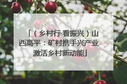 （乡村行·看振兴）山西高平：矿村携手兴产业 激活乡村新动能