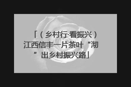 （乡村行·看振兴）江西信丰一片茶叶“沏”出乡村振兴路