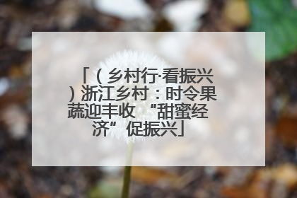 （乡村行·看振兴）浙江乡村：时令果蔬迎丰收 “甜蜜经济”促振兴