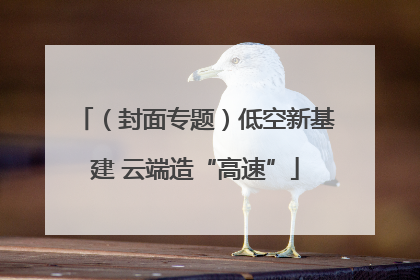 （封面专题）低空新基建 云端造“高速”