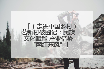 （走进中国乡村）茗新村破圈记：民族文化赋能 产业借势 “网红东风”