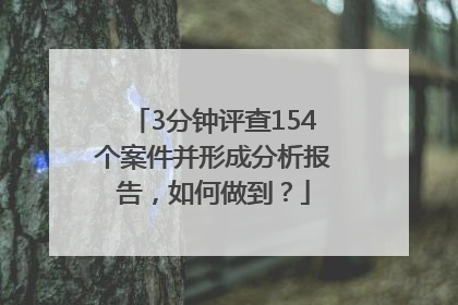 3分钟评查154个案件并形成分析报告，如何做到？