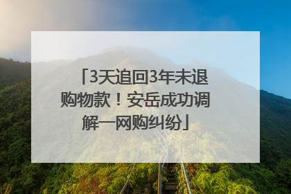 3天追回3年未退购物款！安岳成功调解一网购纠纷